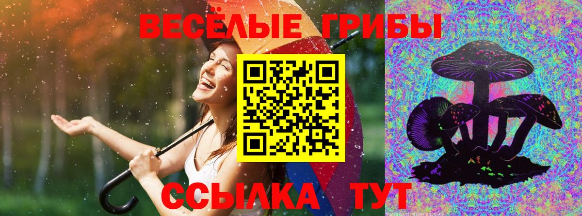 Бор  Галлюциногенные грибы прущие грибы  Вход с VPN 